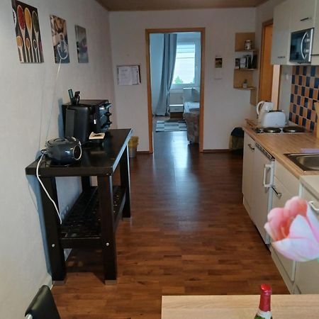 Kleine Wohnung Fuer Monteure Und Dienstreisen Zwickau Eksteriør billede